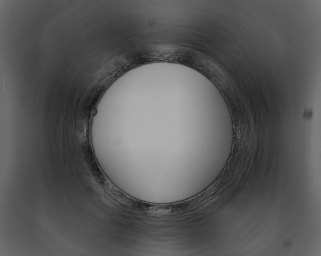 X0000091680602200708231109