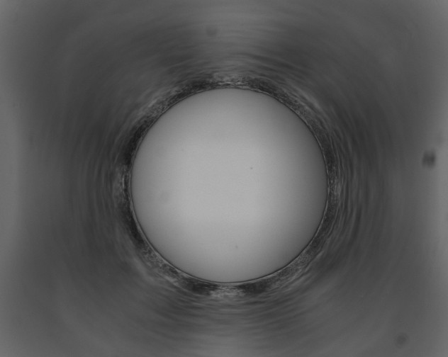 X0000091680603200708231109