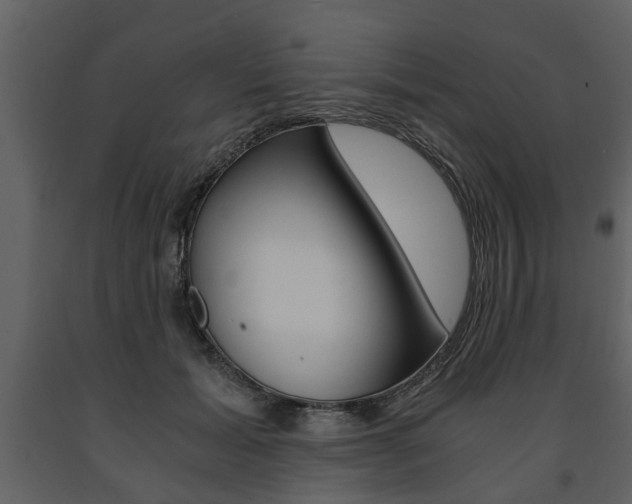 X0000091680605200708231109