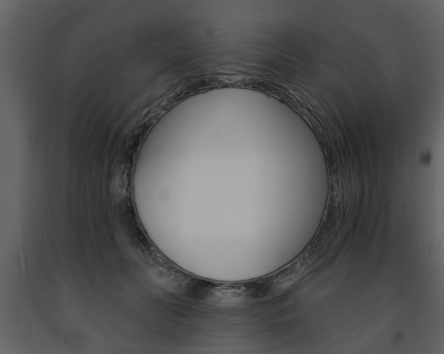 X0000091680606200708231109