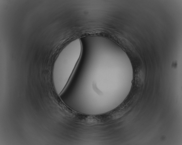 X0000091680608200708231109