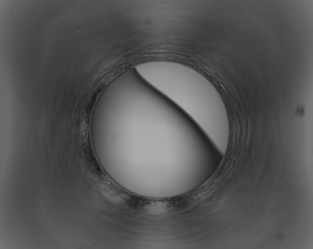 X0000091680609200708231109