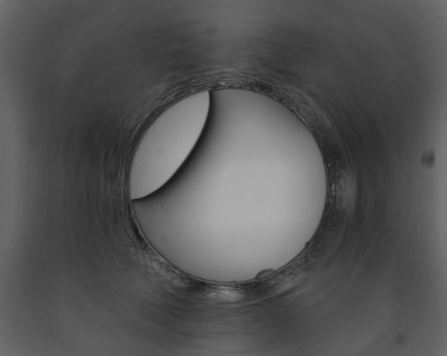 X0000091680610200708231109