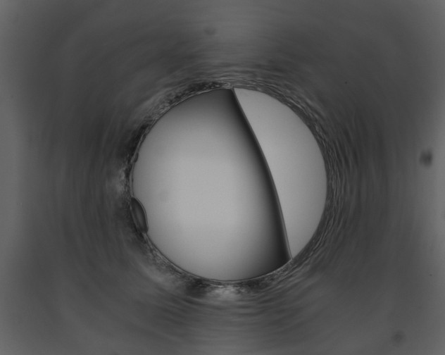 X0000091680611200708231109