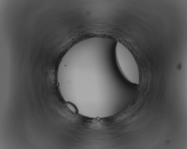 X0000091680612200708231109