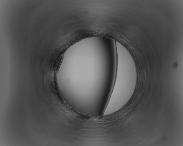 X0000091680613200708231109
