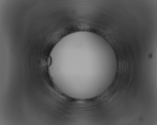 X0000091680614200708231109