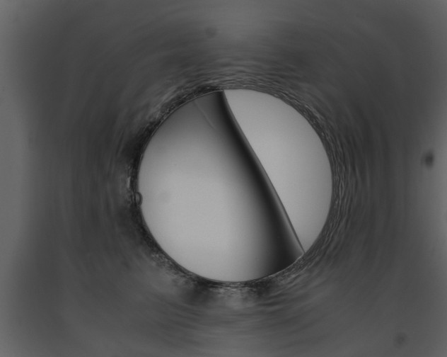 X0000091680615200708231109