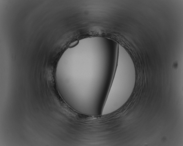 X0000091680616200708231109