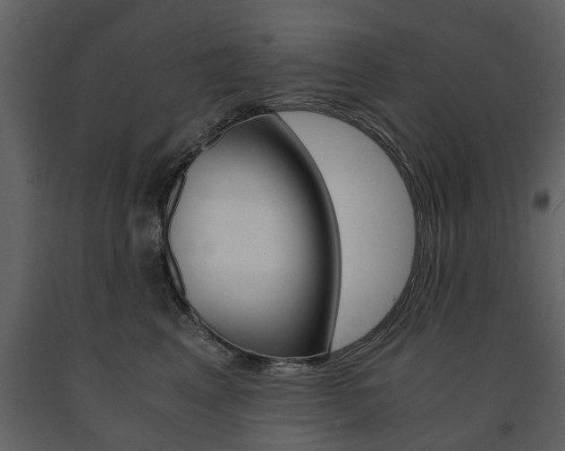 X0000091680617200708231109