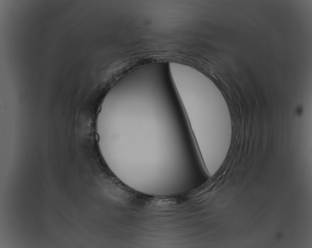 X0000091680619200708231109