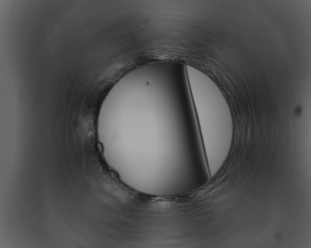 X0000091680620200708231109