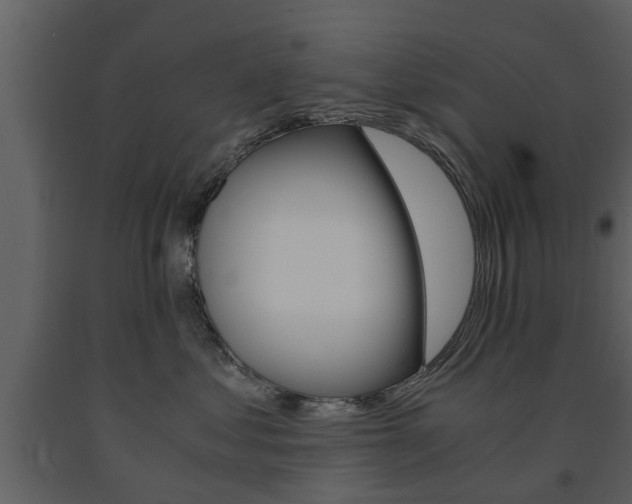 X0000091680621200708231109