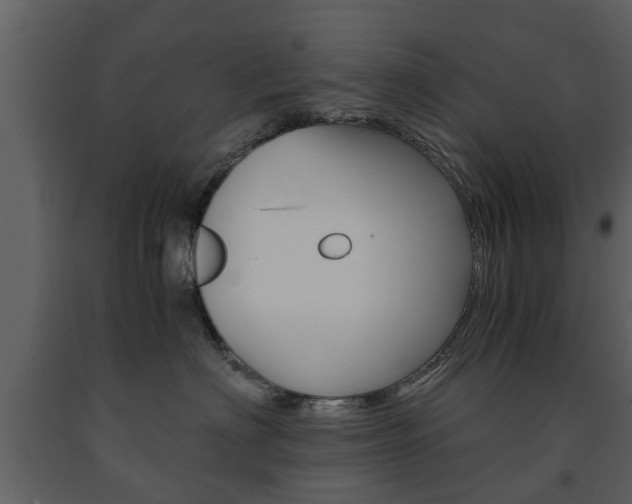X0000091680622200708231109