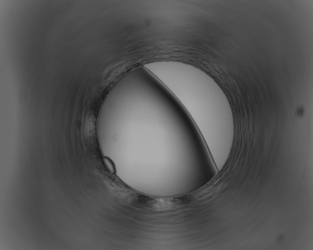 X0000091680623200708231109