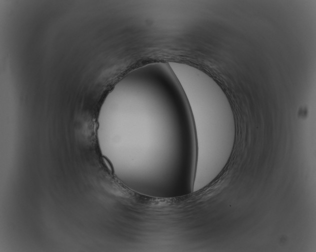 X0000091680624200708231109