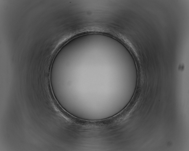 X0000091680625200708231108