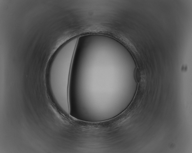 X0000091680626200708231108