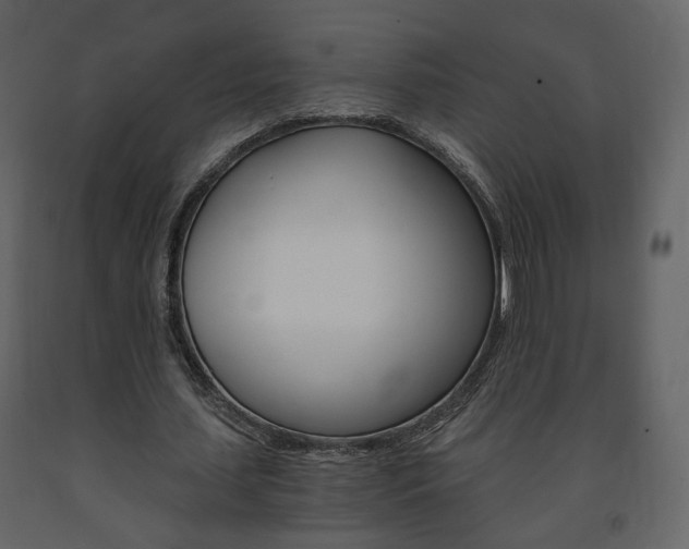 X0000091680627200708231108