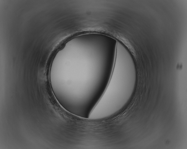 X0000091680628200708231108
