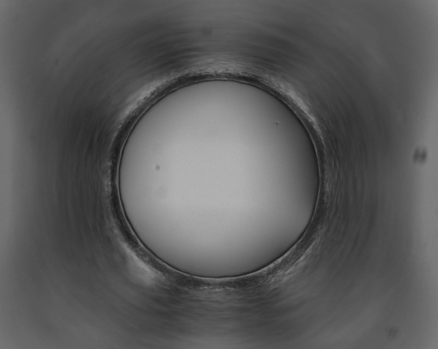 X0000091680629200708231108