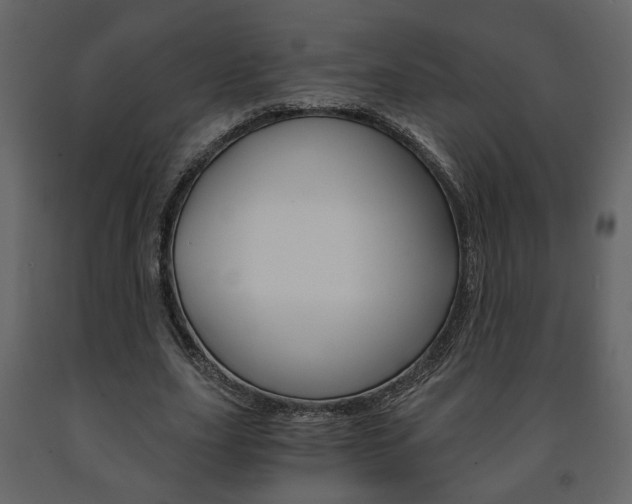 X0000091680631200708231108