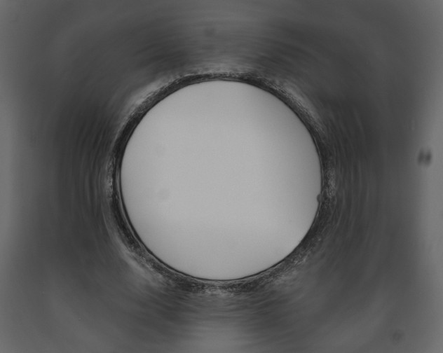 X0000091680632200708231108