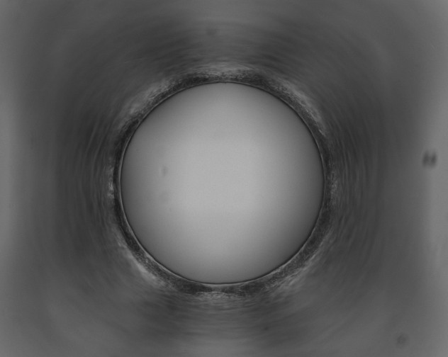 X0000091680633200708231108