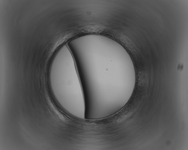 X0000091680634200708231108