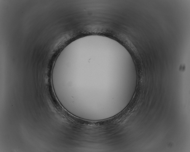 X0000091680635200708231108