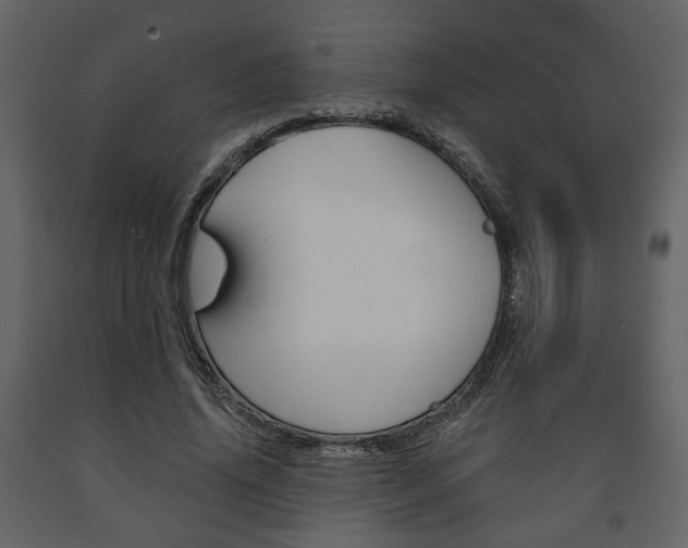 X0000091680636200708231108