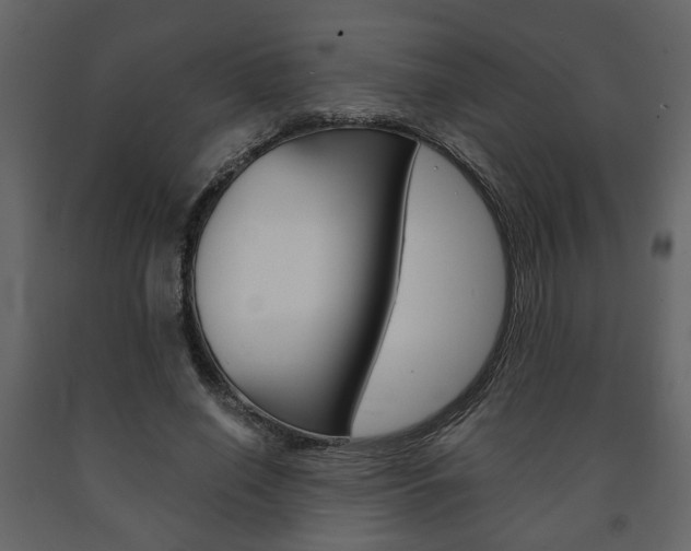 X0000091680638200708231108
