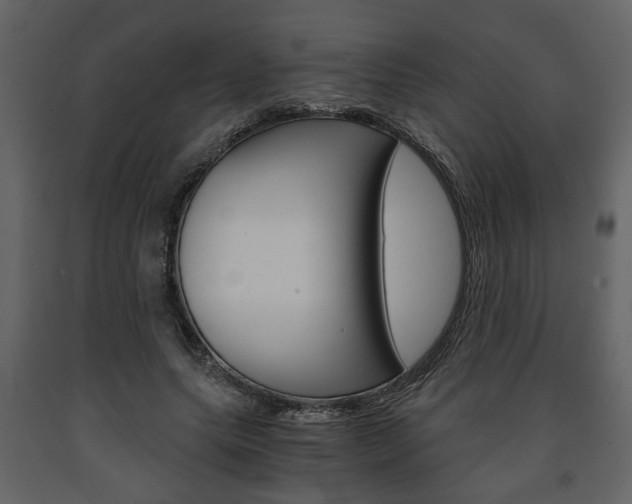 X0000091680639200708231108