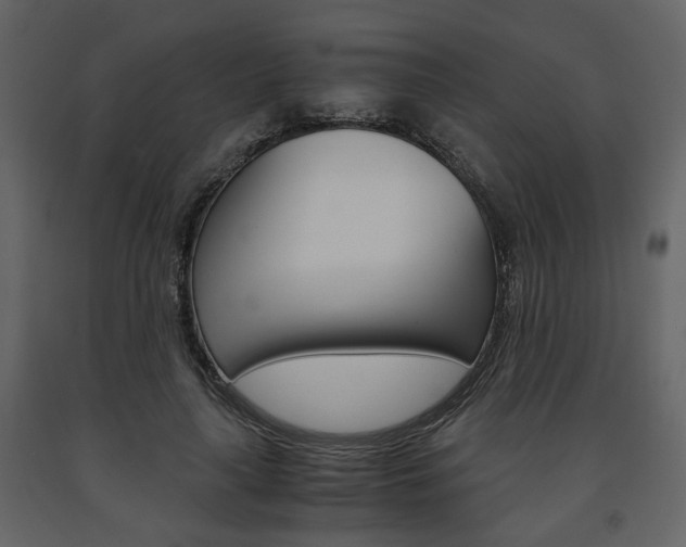 X0000091680643200708231109