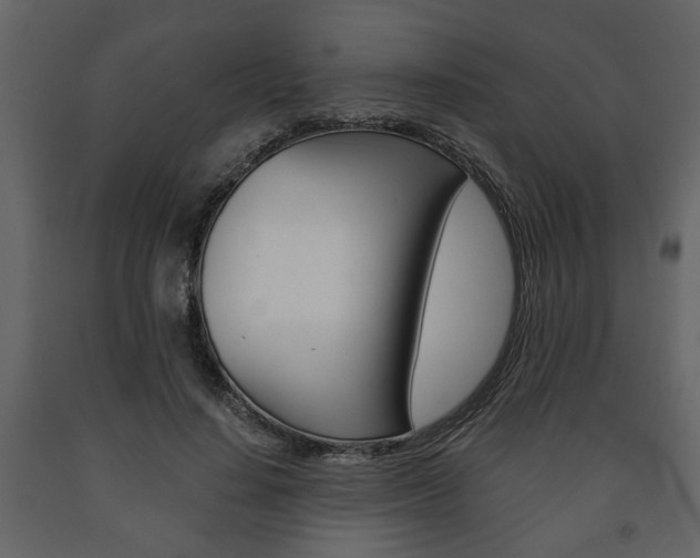 X0000091680644200708231109