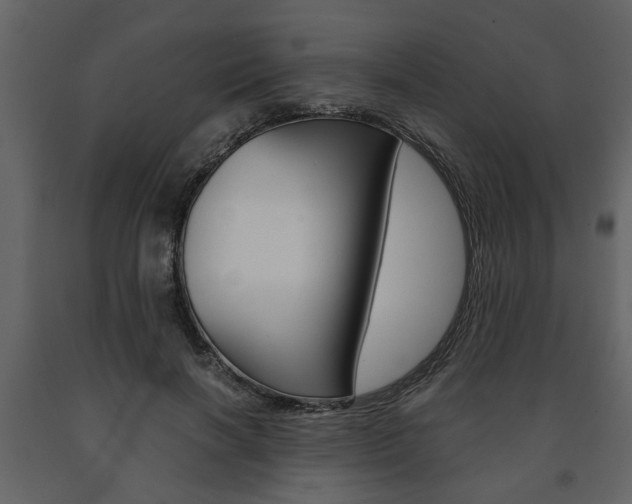 X0000091680646200708231109