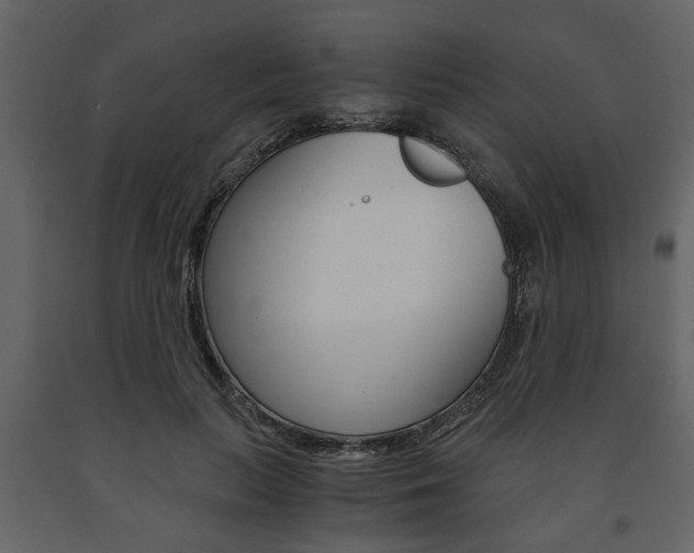 X0000091680647200708231109