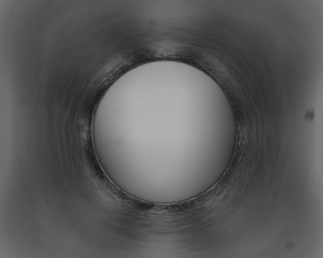 X0000091680648200708231109