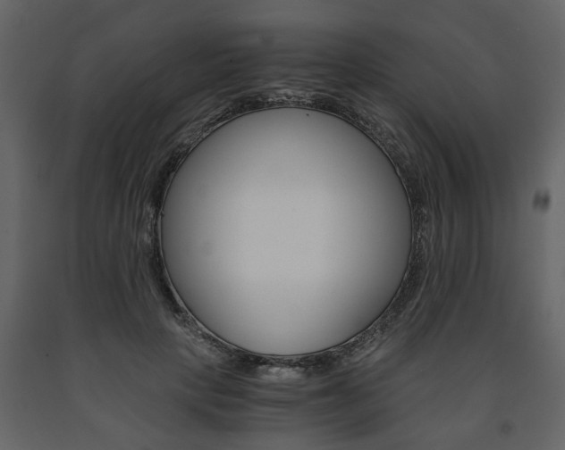 X0000091680649200708231109