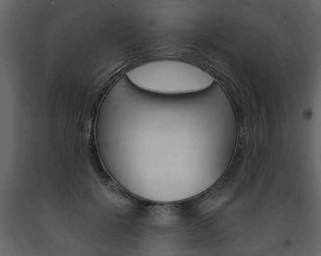 X0000091680652200708231109