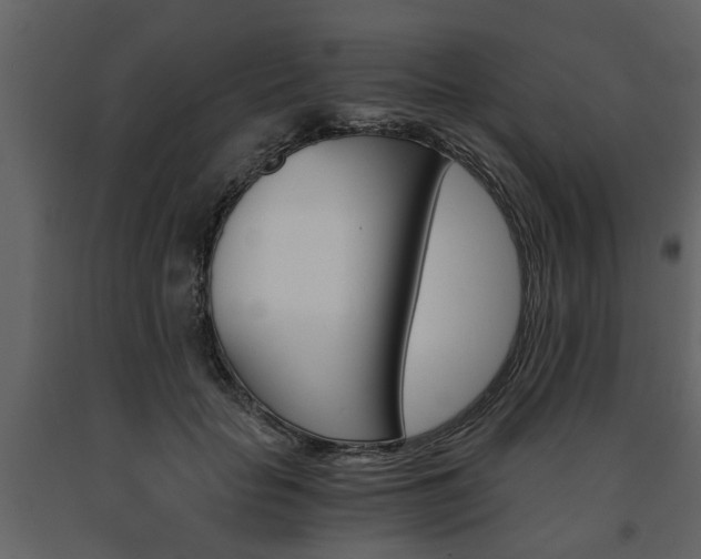 X0000091680653200708231109