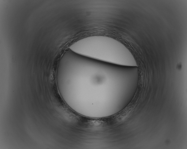 X0000091680654200708231109