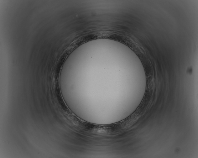 X0000091680655200708231109