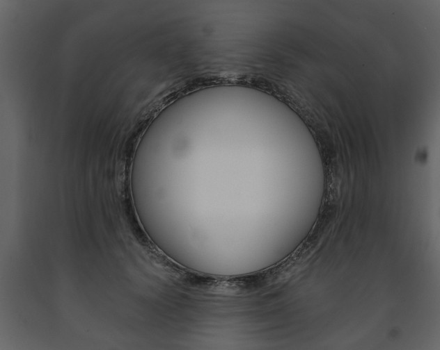 X0000091680656200708231109