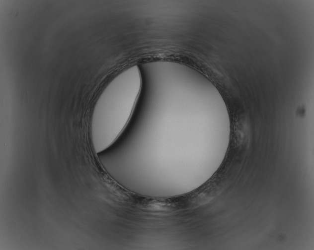 X0000091680657200708231109