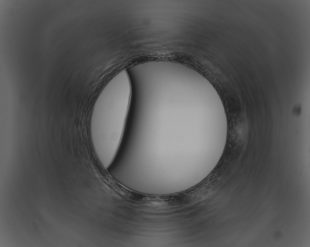 X0000091680658200708231109
