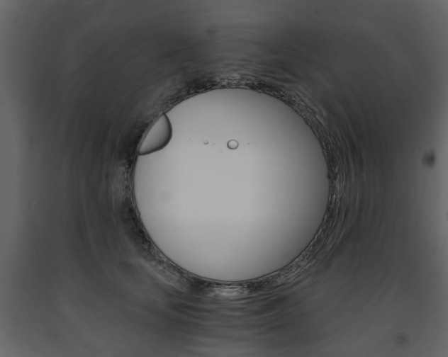 X0000091680659200708231109