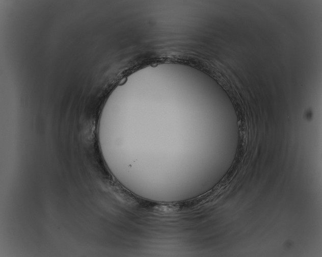 X0000091680660200708231109