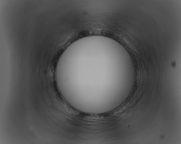 X0000091680661200708231109