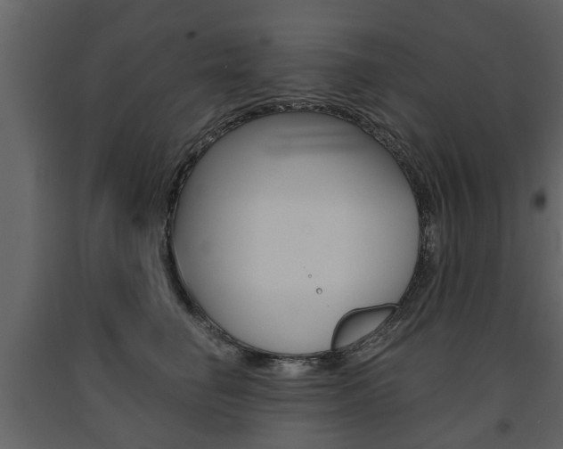 X0000091680662200708231109